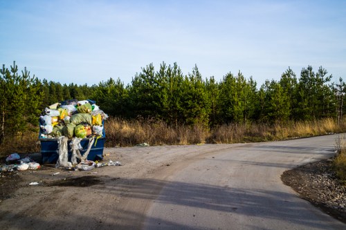 Front view of a skip on a residential street representing Barking skip hire service